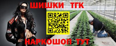 apvp Дубна