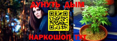 apvp Дубна