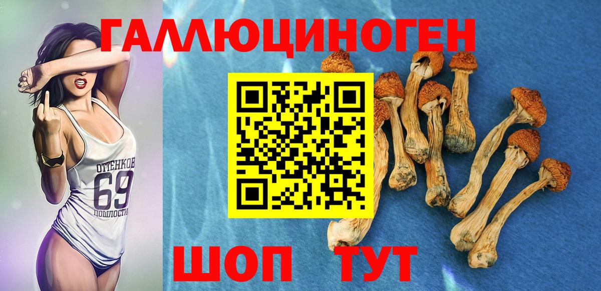 Спасск-Дальний  Псилоцибиновые грибы MAGIC MUSHROOMS  Вход с VPN 