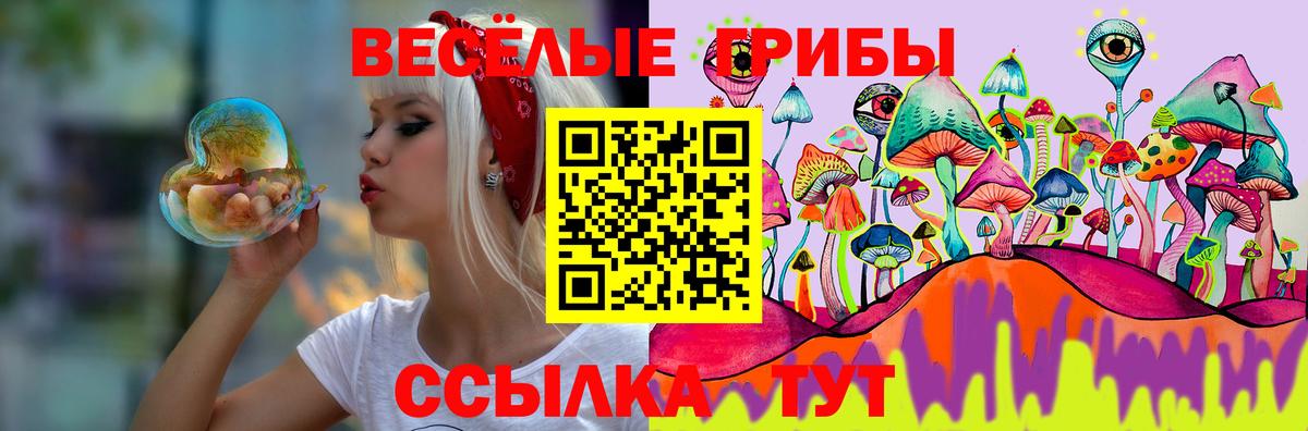 Галлюциногенные грибы Psilocybine cubensis Спасск-Дальний